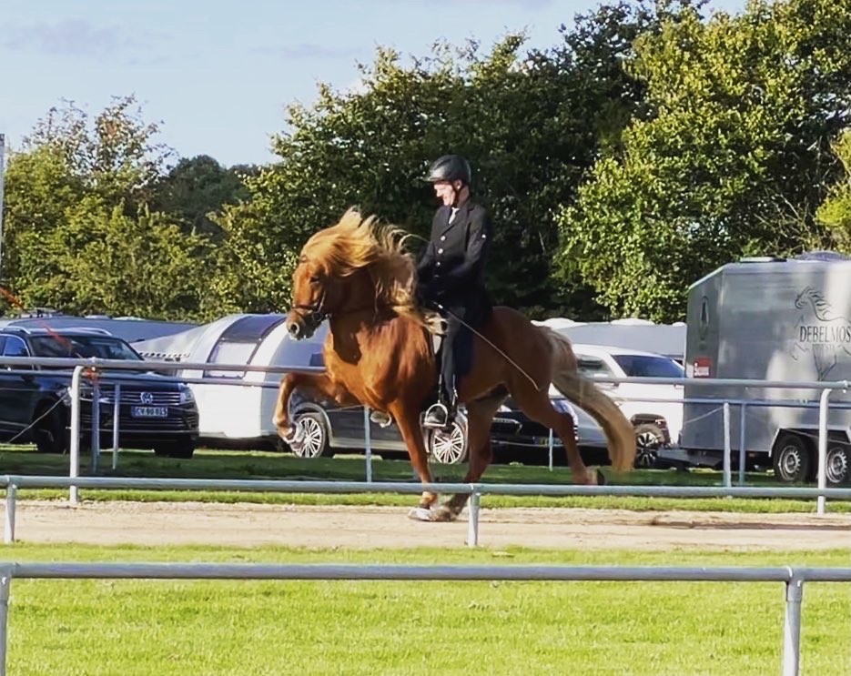 Nökkvi fra Bendstrup