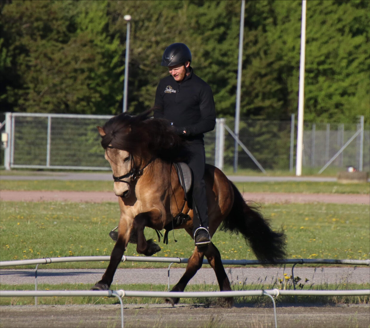 Stormur fra Lysholm