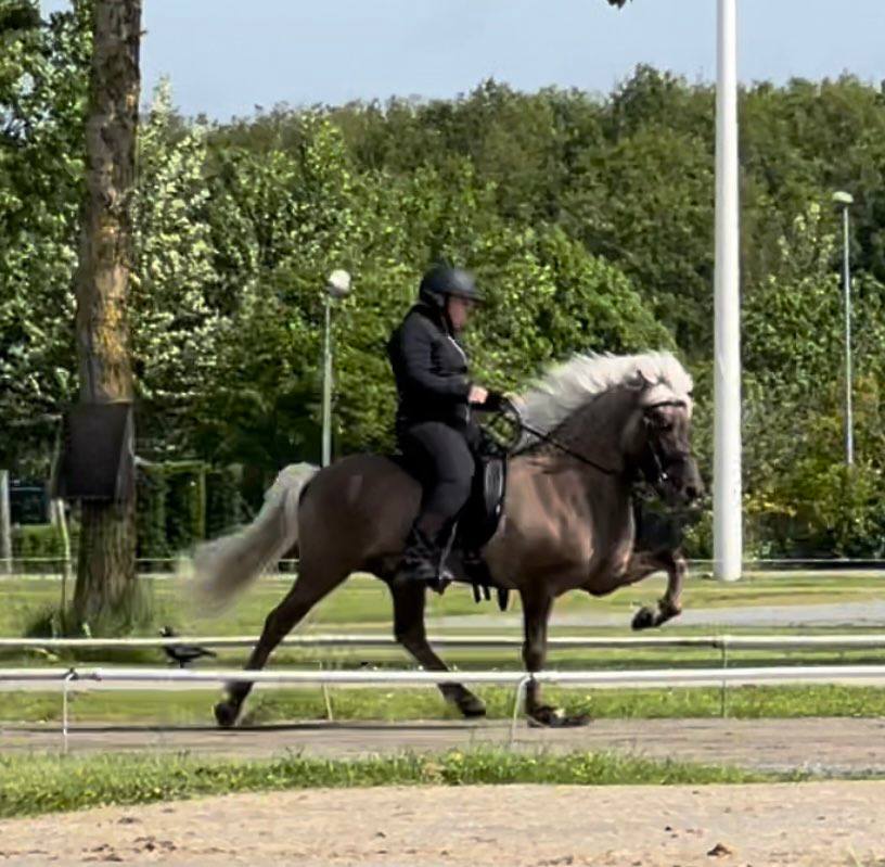 Demantur fra Stutteri Friis