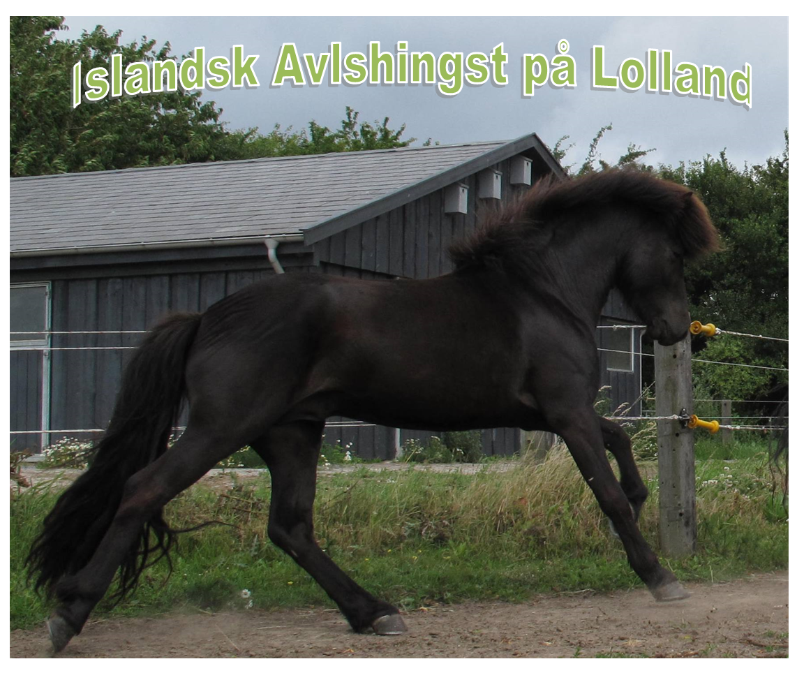 Gylfi fra Blanshoved