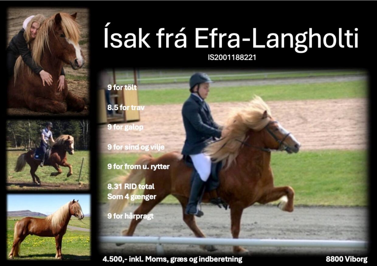 Ísak frá Efra-Langholti