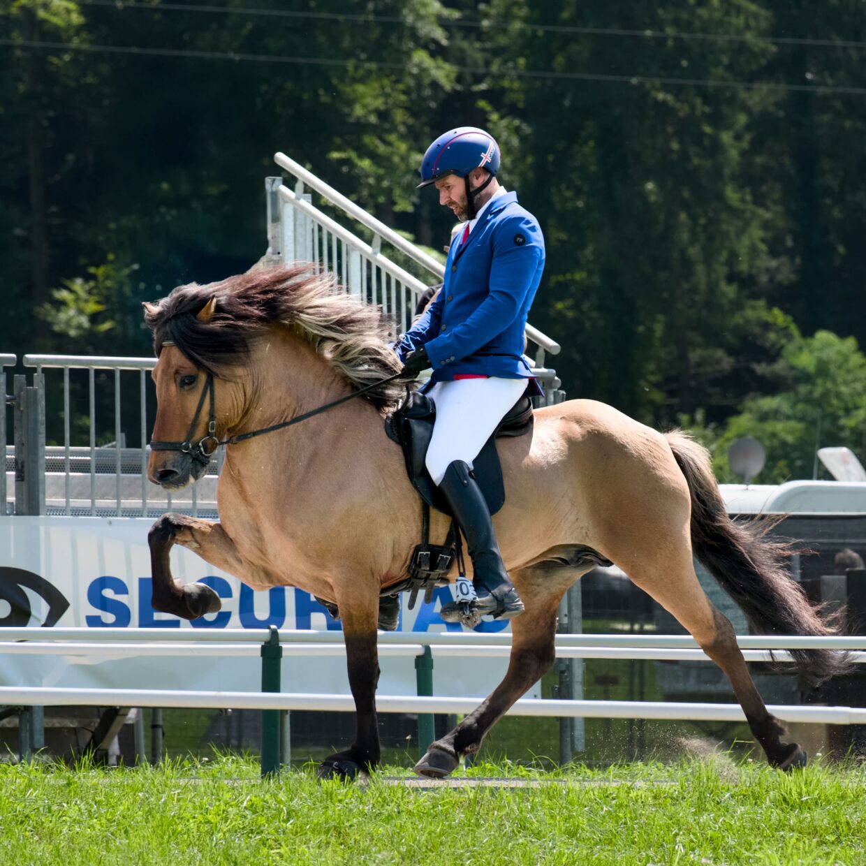 Hljómur frá Auðsholtshjáleigu