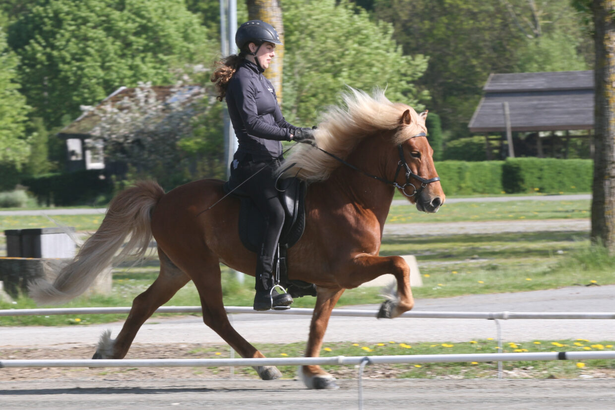 Rúmur fra Hårkildegård